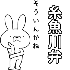 BIG Dialect rabbit[itoigawa]