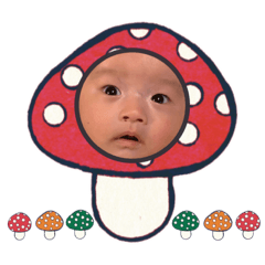 MAICHI_20201109160504