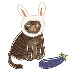 Exotropia Cat - Tabby Cat