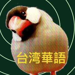 Java Sparrow Speaks Taiwanese Mandarin!