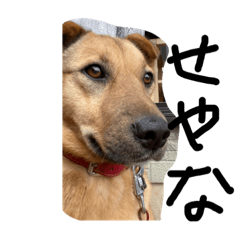 Mizuki_20201109174248