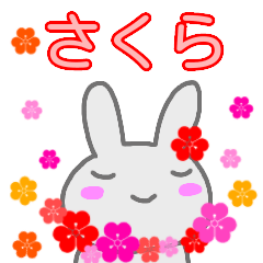 namae from sticker sakura keigo