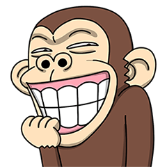 Crazy Funky Monkey3