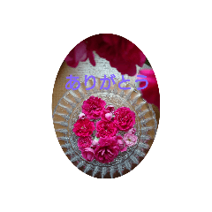 smile_20201109190614