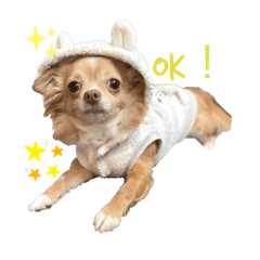 TAKASHI_20201109235739