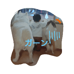 mizuki_20201109181347