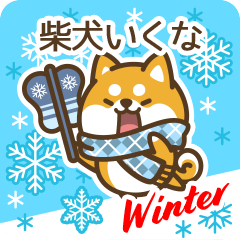 Shiba Ikuna in Winter