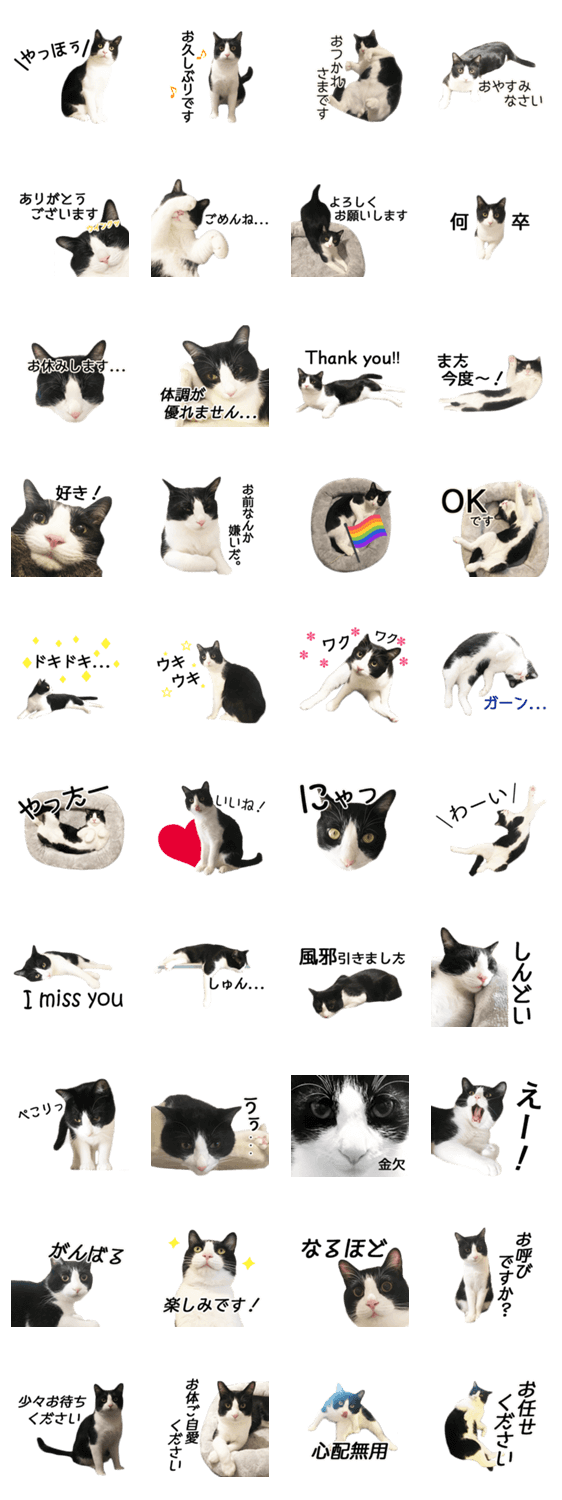 白黒はちわれ猫のつなぴ2 Lineクリエイターズスタンプ Stamplist