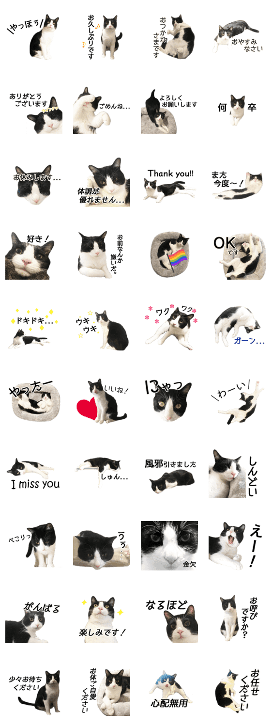 白黒はちわれ猫のつなぴ2 Lineクリエイターズスタンプ Stamplist 白黒はちわれ猫のつなぴ2 Lineクリエイターズスタンプ Stamplist