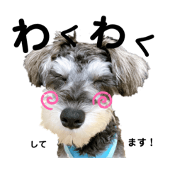 omochi_20201109235859