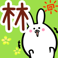 Hayashi Sticker!
