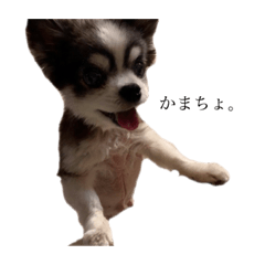 mizuki_20201109213641