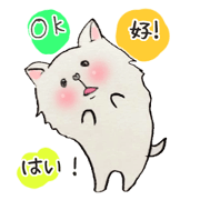 white fat dog(chinese and japanese)