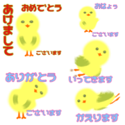 Bird PIYOCO 1