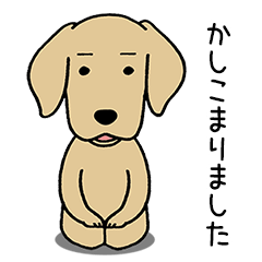 GOLDEN DOG 4(Polite expression version)