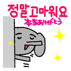 Korean. Small elephant reaction.