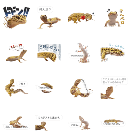 Reptiles! leopard gecko Stickers