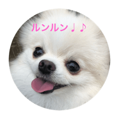 saya_20201109203945