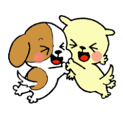 Daily life of two dogs and a rabbit