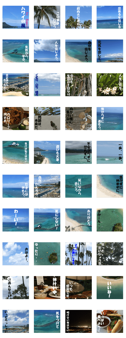 Hawaii's sticker