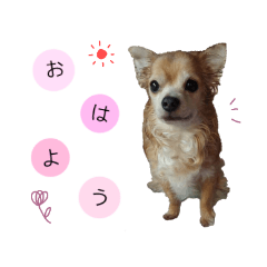 Amari and ten sisters