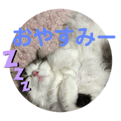 mai_20201110135005