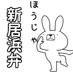 BIG Dialect rabbit[niihama]
