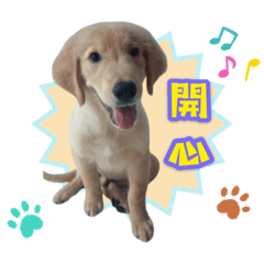 我是歐弟