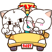 MOVE ! MIREDO Cat 2