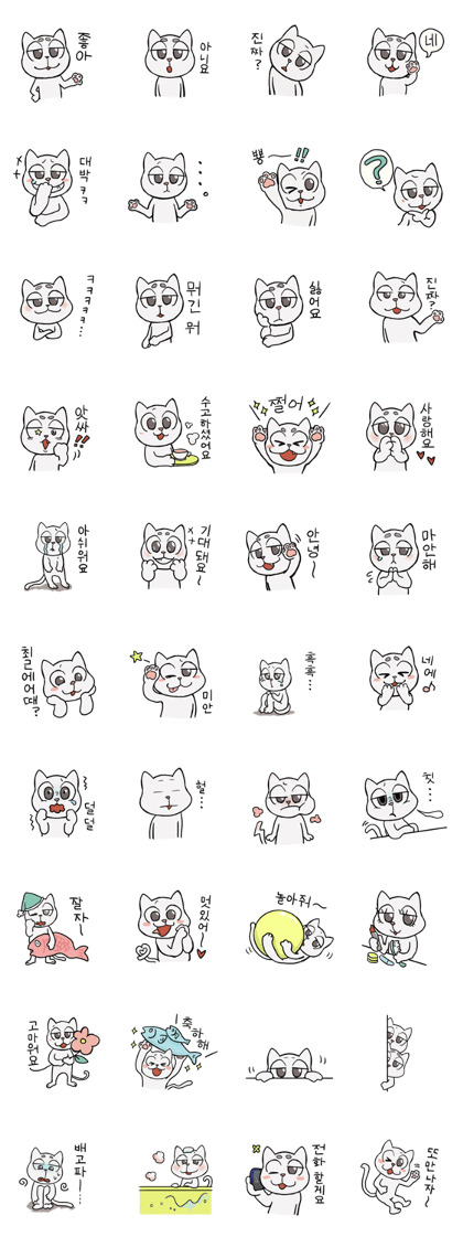Korean and white cat