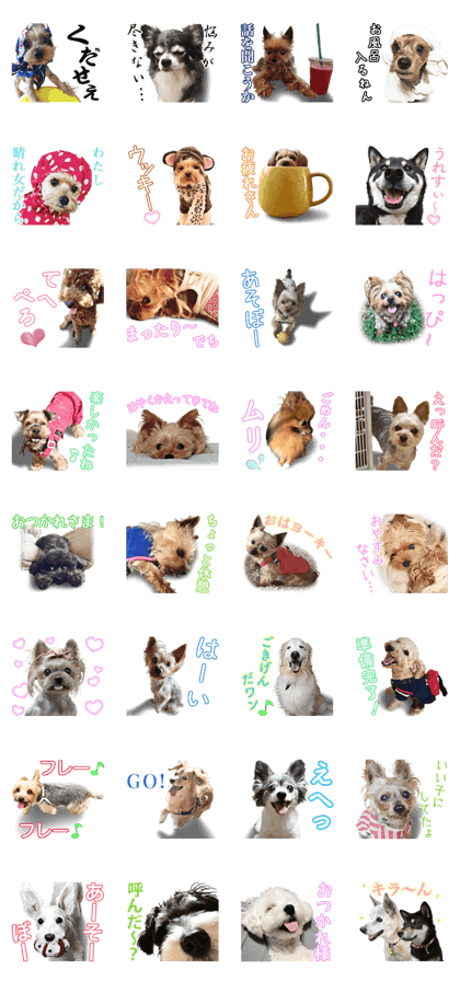 Our Dogs Sticker 3