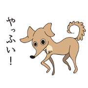 Dog (move)