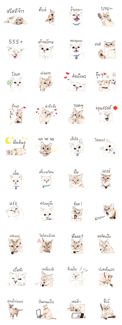Nala and White Coffee Cat (Thai)