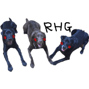 Labrador RHG