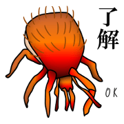 life of mites