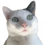 Fuzzy Meow