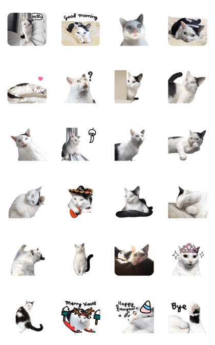Fuzzy Meow