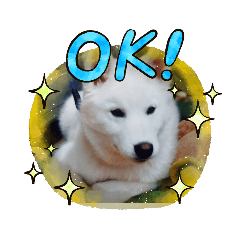 mizuki_20201110162127