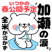 Bear Sticker Kase