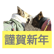 ivujack_20201110172002