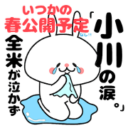 Cute Face Bunny ogawa