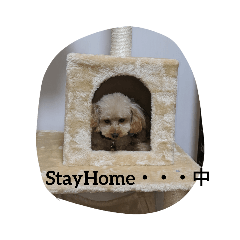 MICHIKO_20201110190704