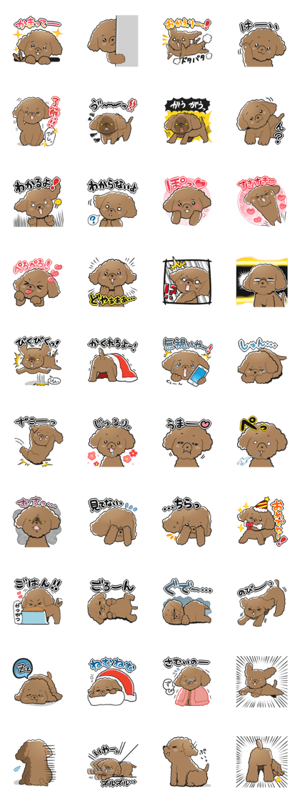 Toy poodle-chan