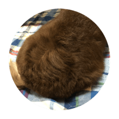 nagisa_20201110215641