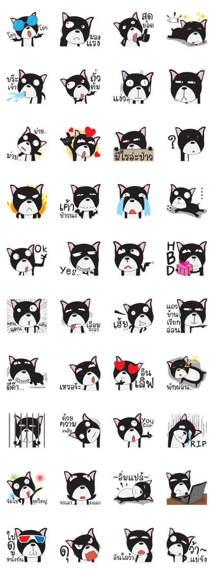 Frence Bulldog (Black Dogs)