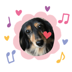 yukari_20201110223251