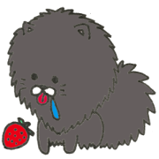 KuroPomesan3