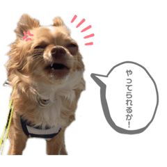 TAKASHI_20201111001325