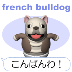 Cheerful french bulldog (Movie 01)