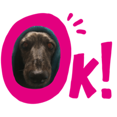 asuka_20201111075921